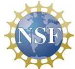 A blue world Globe with "NSF" over the globe in white and yellow figures circling the globe
