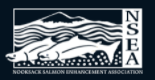 NSEA logo of two salmon with the mountains in the background